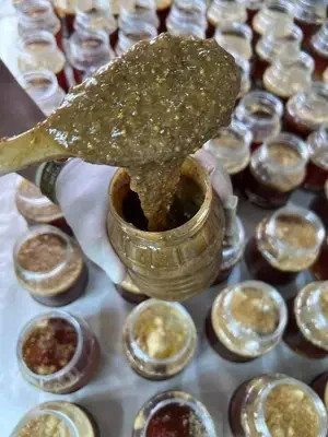 معجون درمان تضمینی دیابت ترکیب 16 گیاه +10 گرم ژل رویال درمان دیابت به روش طب سنتی هندی و ایرانی