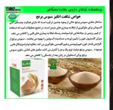سبوس برنج قهوه ای برای چاقی صورت و بدن برند بین استارگیاهی بدون عوارض اصل و اورجینال
